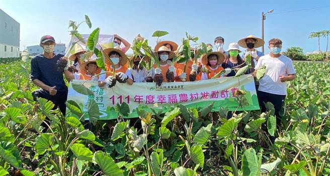 大安国中师生27日藉由「飞天猪奇芋记」课程，透过资深芋农介绍，让学童瞭解及体验芋头如何种植、採收。（大安农会提供）