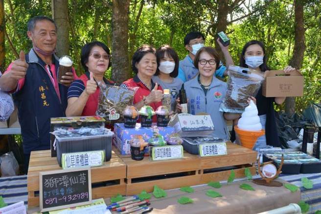 苗栗縣獅潭鄉公所與農會推出仙草花節，苗栗縣副縣長鄧桂菊歡迎大家來獅潭賞花。（苗栗縣政府提供／謝明俊苗栗傳真）