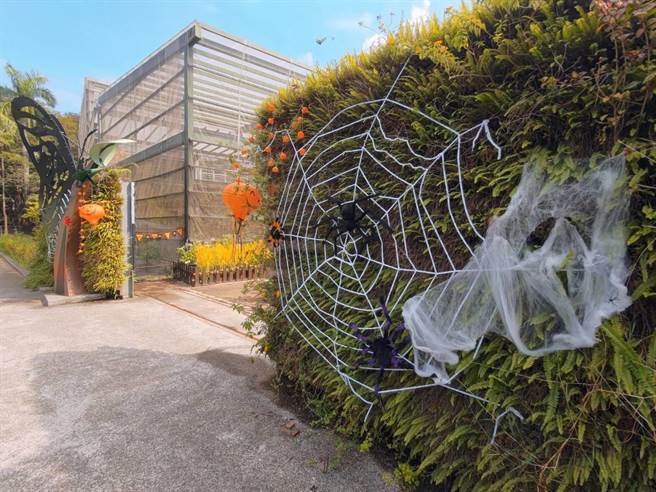 金狮湖蝴蝶园万圣节布置。（柯宗纬翻摄）