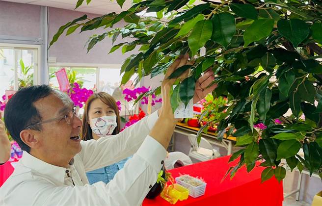 朱立伦把「高票当选」许愿卡挂到许愿树上。（刘美芳办公室提供）