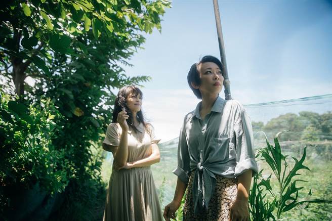 长期关注于台湾史与性别相关题材的同党剧团，近期推出新作《燃烧的蝴蝶》，结合真人、戏偶与光影演出，从歷史、性别、内在成长，描述慰安妇生命歷程，本周在国家两厅院实验剧场登场。（同党剧团提供）