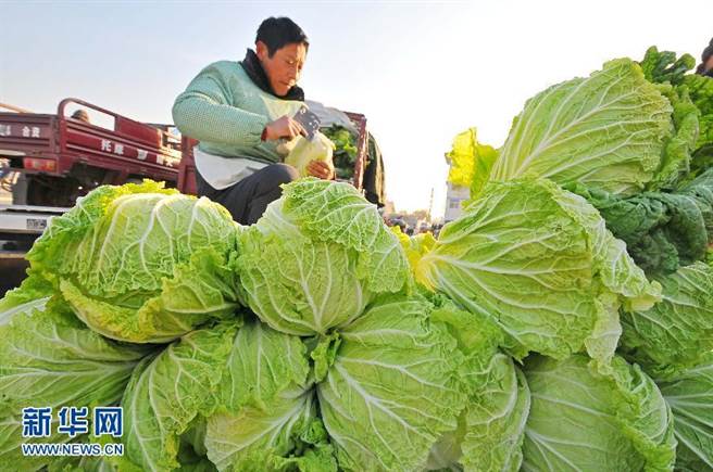 西寧疫情物价飞涨？白菜算成莲藕一颗215元。（新华社资料照）