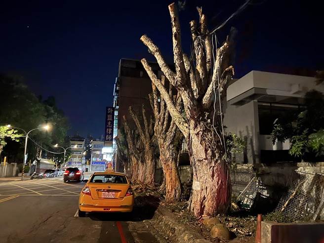 桃市府养工处2019年7月办理「桃园市全面换装节能（智能）路灯暨维护案」，将桃园市既有16.2万盏传统高耗能路灯，全面汰换升级为LED智能路灯。(蔡依珍摄)