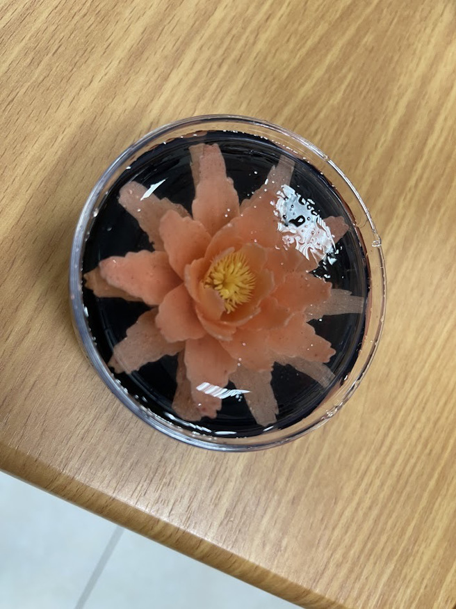 果凍花成品。(移民署嘉義市服務站提供)
