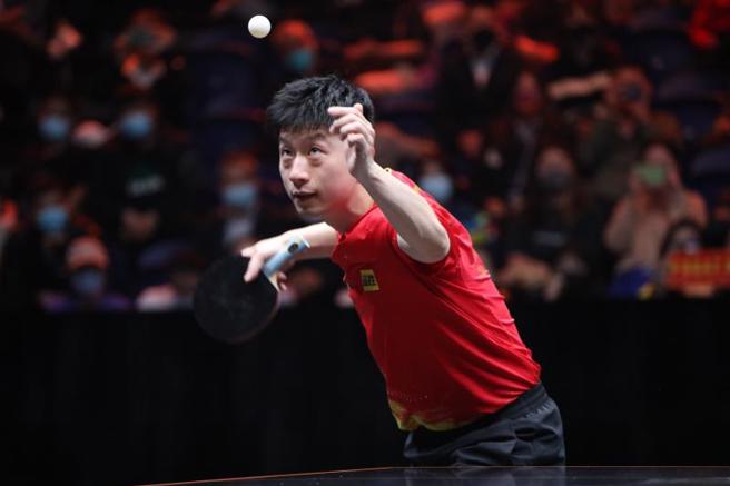 两届奥运金牌、大陆名将马龙，今天在WTT世界杯决赛3比2击败台湾好手林昀儒，顺利晋级四强。(中新社)