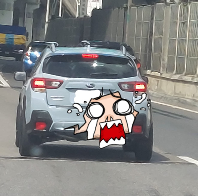 国道命案？前车后车厢「伸出一只手」引万人关注，真相曝光网傻眼。(翻摄脸书路上观察学院)