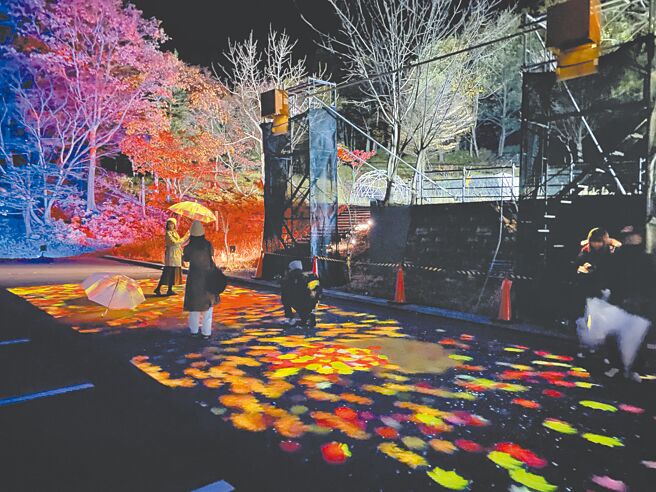 层云峡秋季有期间限定的「奇蹟灯光秀」可欣赏夜枫。（何书青摄）