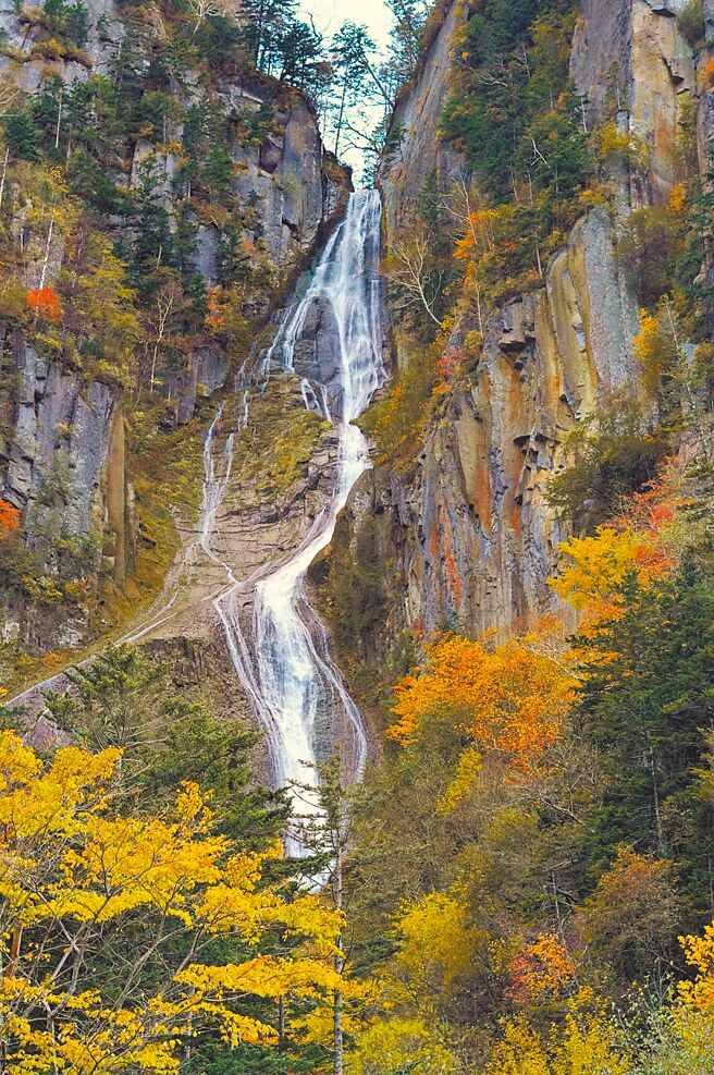 层云峡是许多游客赏红叶的天堂，在此还有120公尺高的壮观「银河瀑布」可看。（何书青摄）