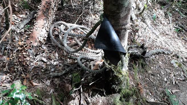 东势林管处发现引导绳被破坏的情形。(东势林管处提供)