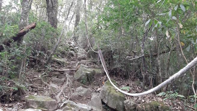 东势林管处设于步道上，以减少迷途的引导绳。(东势林管处提供)