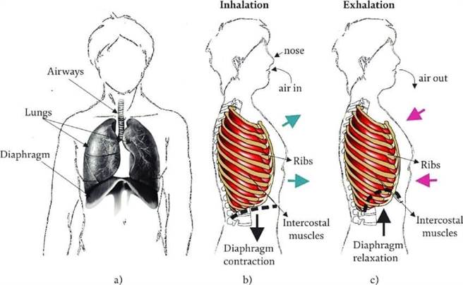 苏一峰在脸书发文分享，说大量的人挤在一起，被挤的人因为拥挤压迫而无法正常呼吸。（摘自苏一峰粉丝专页）