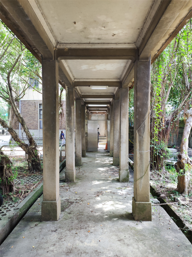 台大昆蟲館西側通廊今經文資審議決定納為古蹟，成為台大昆蟲館的附屬設施。（台北市文化局提供）