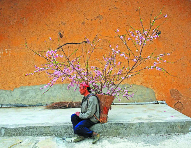 背上的桃花。(圖/讀者雜誌提供)