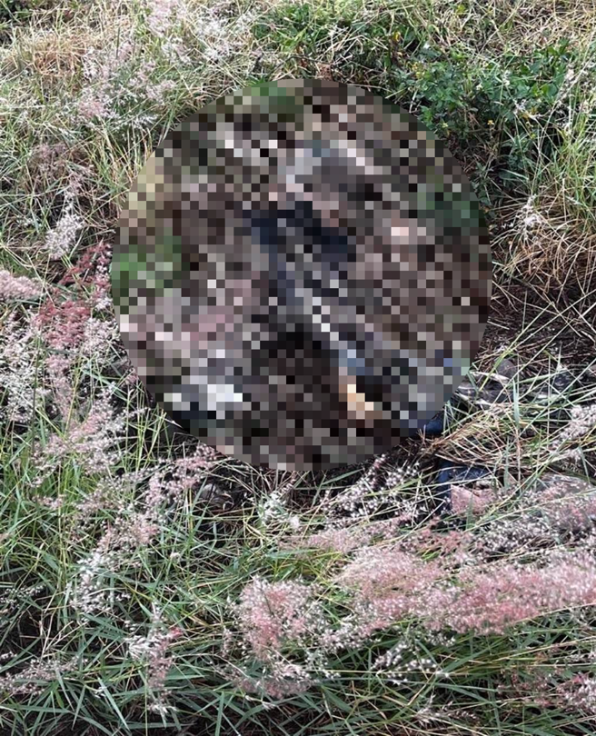 台中市北屯區14期重劃區崇德五路跟榮德路口附近，31日下午被除草工人發現一具下半身已裸露在外的白骨。（民眾提供）