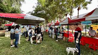 毛小孩有福了 台南市第2座寵物運動公園明年2月啟用
