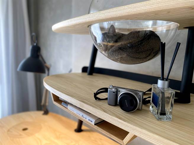 树德科大校友抓住宠物商机，推出人猫共融的书桌，颇得喵星人的青睐。（树德科大提供／林瑞益高雄传真）