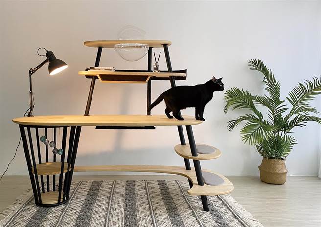 树德科大校友抓住宠物商机，推出人猫共融的书桌，喵星人也称讚。（树德科大提供／林瑞益高雄传真）