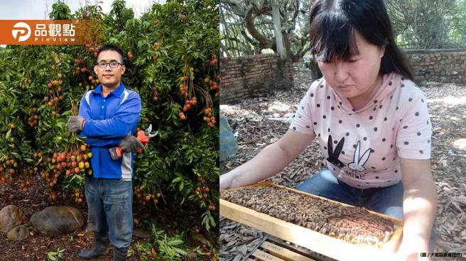 品观点｜大树区玉荷苞及蜂蜜闻名 农会培养新生代青农接棒（图/品观点提供）