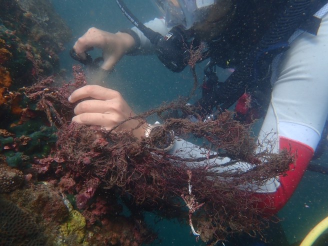 花莲县长徐榛蔚呼吁更多民共同响应净海联盟，除了共同维护海洋外，更可保护生态不受破坏。透过净海联盟今年的努力，已清出高达15吨垃圾，十分惊人。(图/花莲县环保局提供)