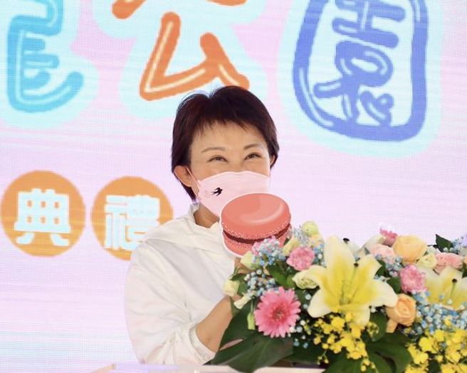 台中市長盧秀燕針對落實台中的「居住正義」，曝光了5項政策，直言「在台中，孩子真的能帶財」。（圖／取自盧秀燕臉書）