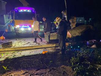 影／公館南河村唯一聯外道路路樹倒塌 警民3小時才搶通