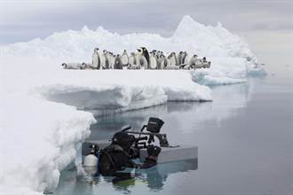 不能把病毒帶到南極！《冰凍星球II》為拍企鵝寶寶防疫旅館住42天