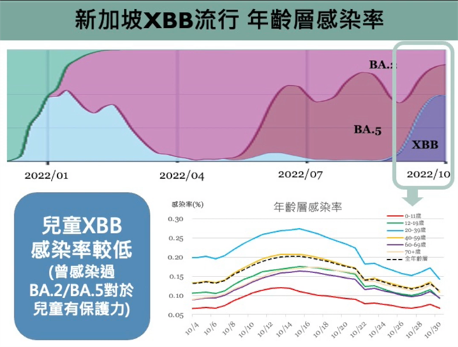 新加坡研究顯示，0～11歲兒童的XBB感染率相當低的，感染率最高的則是行動力最高的20～39歲族群，與台灣BA.5具有相同趨勢。（圖取自新冠肺炎科學防疫園地）