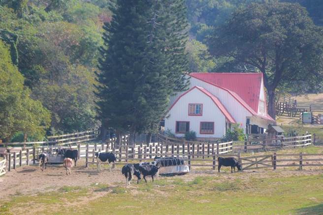 「2022台北国际旅展」将于11月4日至11月7日在台北南港展览馆举办，农委会精选森林生态与特色农村体验行程，集结超过700条农游、森林或农村游程及百项农游伴手或农村好物商品。（图片取自农业易游网）