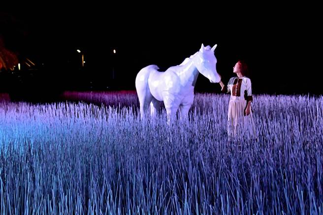 台东光祭中的「粉红色浪漫」，成为网美必拍亮点。（庄哲权摄）