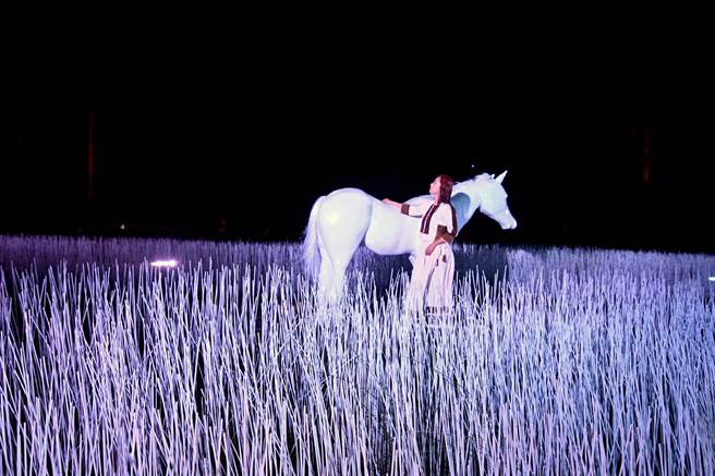 台东光祭中的「粉红色浪漫」，成为网美必拍亮点。（庄哲权摄）
