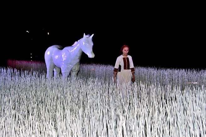 台东光祭中的「粉红色浪漫」，成为网美必拍亮点。（庄哲权摄）