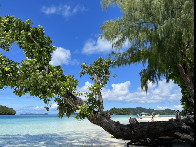 帛琉观光局宣布，4日起到3月底，台湾旅客入境可领每人领取美金100元现金。（曾薏苹摄）