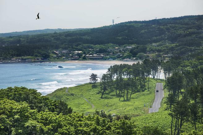 「陆奥潮风步道」位在八户的种差海岸路段风景宜人。（八户观光文化协会提供）