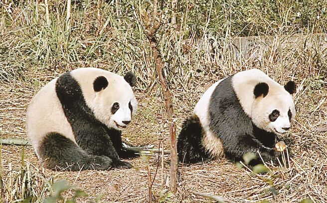 （图／本报系资料照）