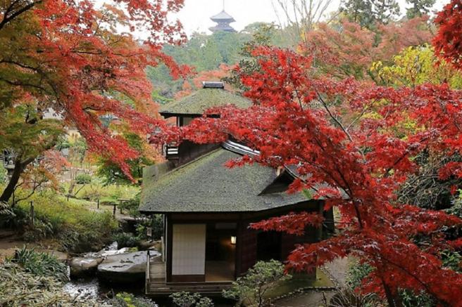 穿越時空回到舊時代追楓紅橫濱紅葉名勝 三溪園 旅遊 中時新聞網