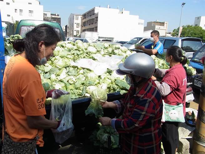云林县北港镇农民自採自售高丽菜，1颗15元便宜卖婆妈抢购。（张朝欣摄）