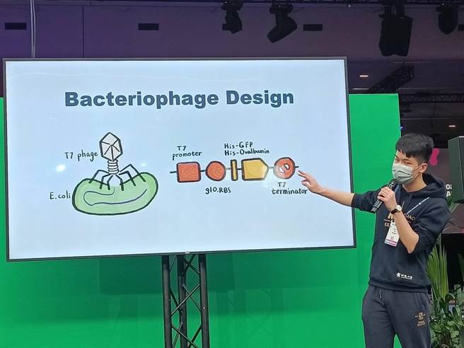 明道中學iGEM團隊共37位同學，日前參加美國MIT麻省理工學院所創辦的國際基因工程生物競賽，利用基因改造「噬菌體」，成功製造「新世代口服疫苗 Phaccine」。（明道中學提供／潘虹恩台中傳真）