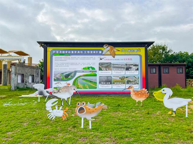 2022候你归来，许厝港湿地赏鸟节将于11月5日起跑，连3周六日都有系列趣味活动，让民眾边玩边学习赏鸟相关知识。（海管处提供／蔡明亘桃园传真）