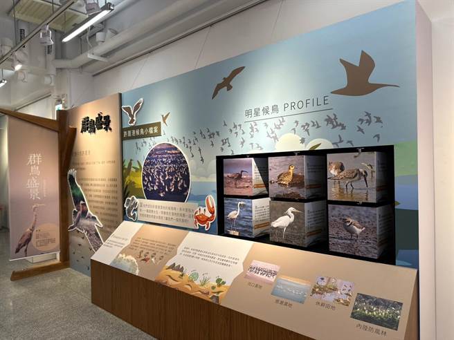 2022候你归来，许厝港湿地赏鸟节也设置许厝港湿地特展，邀民眾共同探索丰富野鸟、湿地生态。（海管处提供／蔡明亘桃园传真）