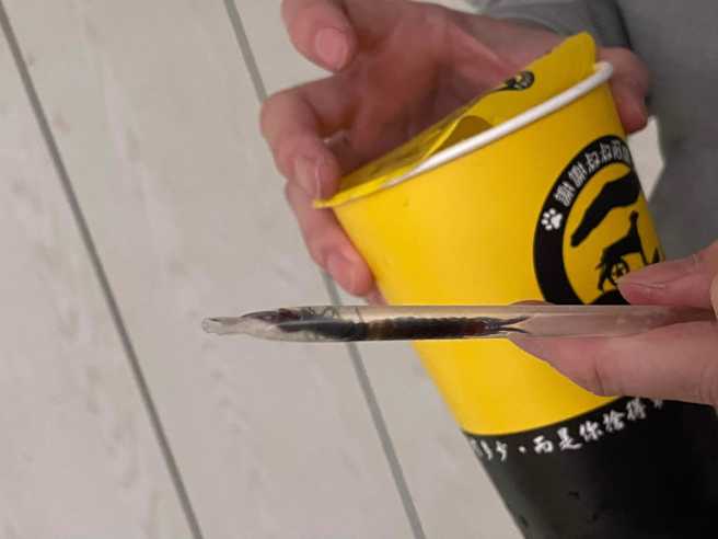 真的阿娘喂了！他喝廖老大饮料店「吸到整条蜈蚣」，网吓疯：谁还敢再喝。(翻摄脸书爆料公社)