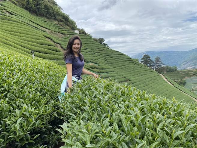 张家纶很喜欢姨婆家位于仁爱乡奇莱山系的茶园，甚至开始学採茶、制茶。（永浩茶园提供／杨静茹南投传真）