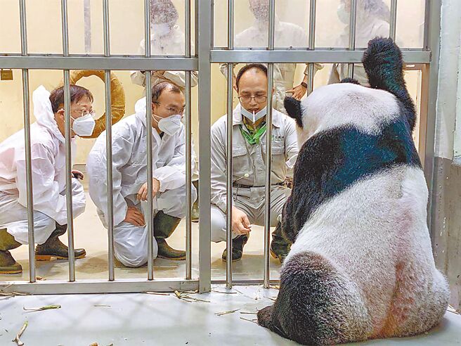 （图／台北市立动物园提供）