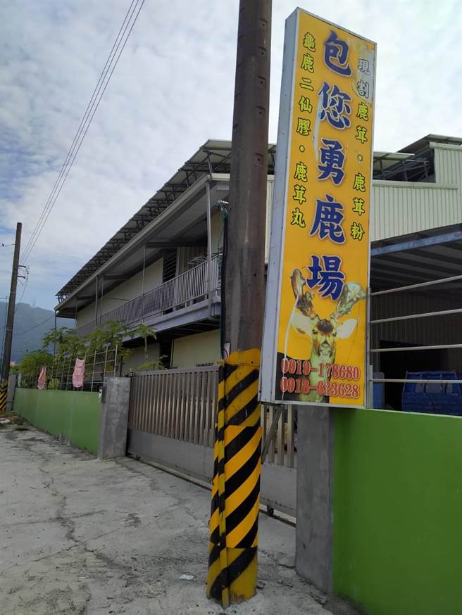 国姓乡民指控「包您勇养鹿场」业者清洗鹿寮后，直接将废水排进溪流。（民眾提供／杨静茹南投传真）