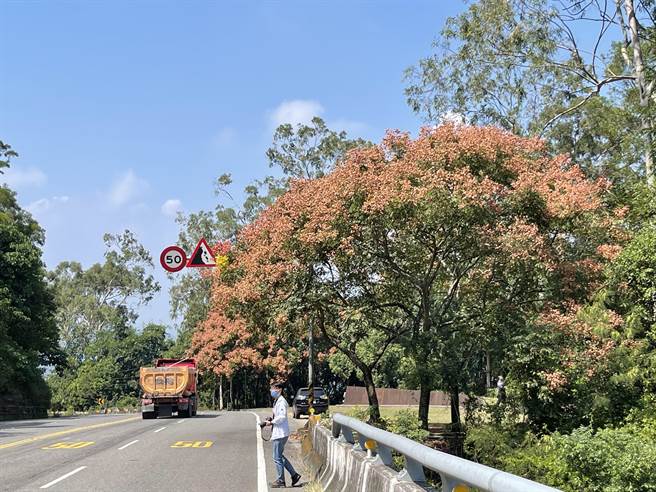 主嫌供稱，藏屍地點在台21線「日月潭國家風景區管理處」意象旁橋樑下方山谷。（楊靜茹攝）