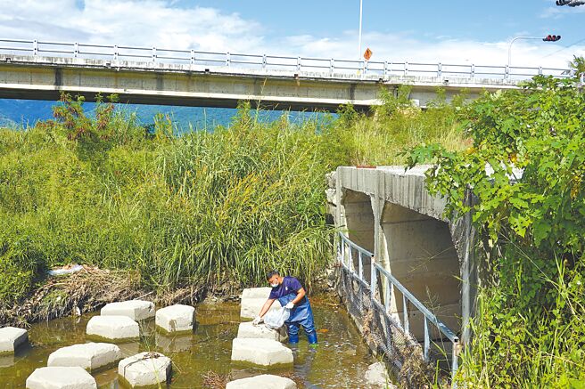 台東縣環保局選定太平溪3處設置攔截點，今年已攔除274.13公斤垃圾，其中還清出衣架、動物屍體和棉被。（蔡旻妤攝）