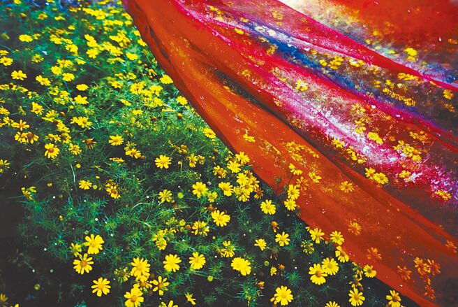 红与绿，1998。（康台生提供）