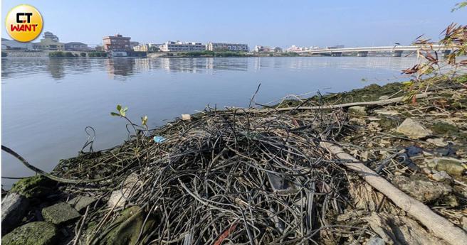 二仁溪经过10多年整治，至今仍有上万吨有害废弃物埋在河畔，毒素持续渗入溪水中，严重影响生态。（图／黄威彬摄）