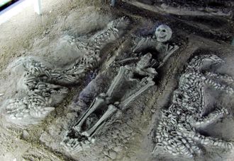 河南出土6500年前古墓 挖開驚見「中華第一龍」