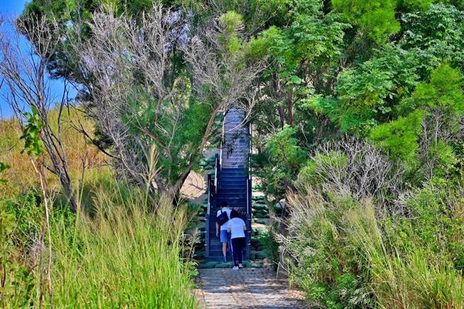 台中市觀旅局今年整修雪蓮步道好漢坡路段，10月底已開放。（陳淑娥攝）