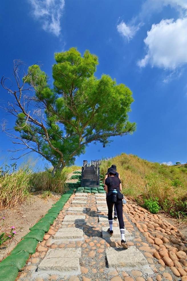 台中市觀旅局今年整修雪蓮步道好漢坡路段，10月底已開放。（陳淑娥攝）
